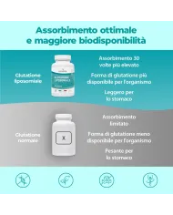 Glutatione Liposomiale Setria® - 60 Capsule